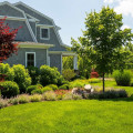 Boost Your Curb Appeal With Professional Tree Trimming In Leesburg, VA